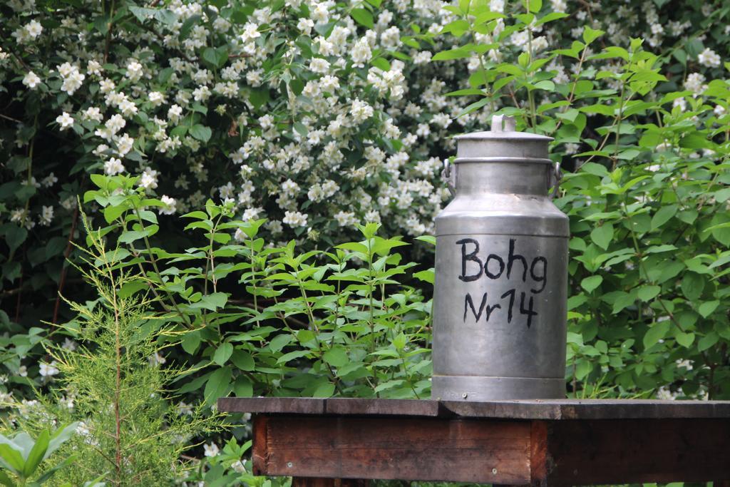 Ferienhof Bohg ブルク エクステリア 写真